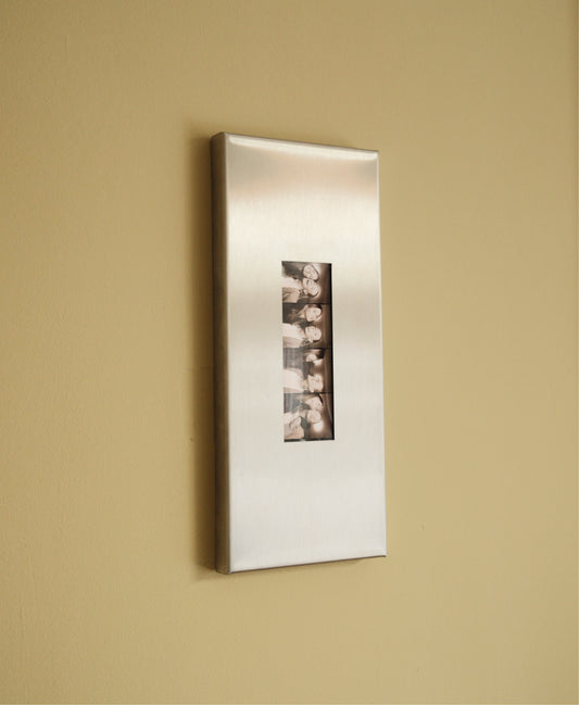 RVS fotostrip lijst van geborsteld staal met een zwart-wit fotostrip, aan een groene muur