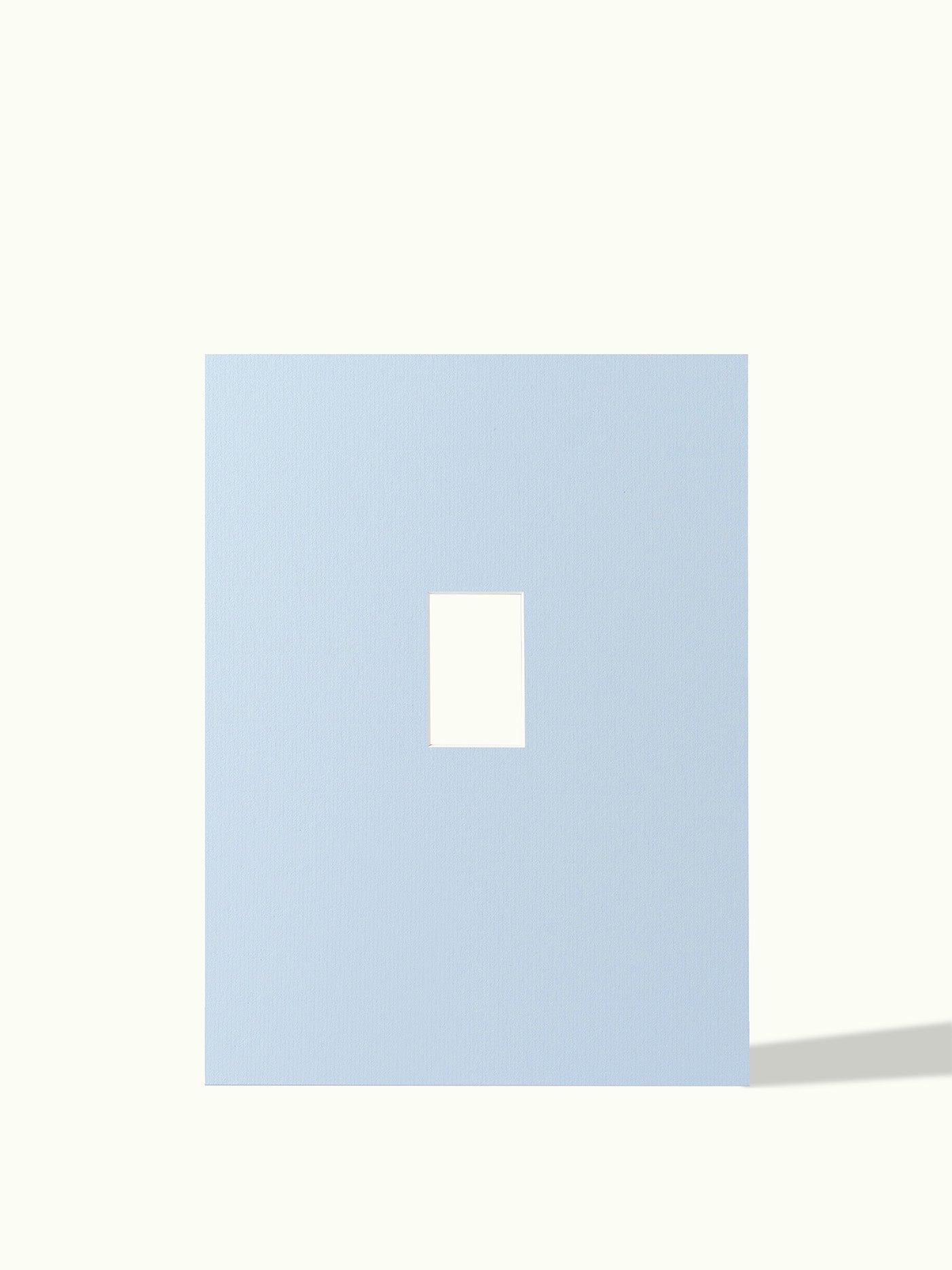 Polaroid mini - passe-partout