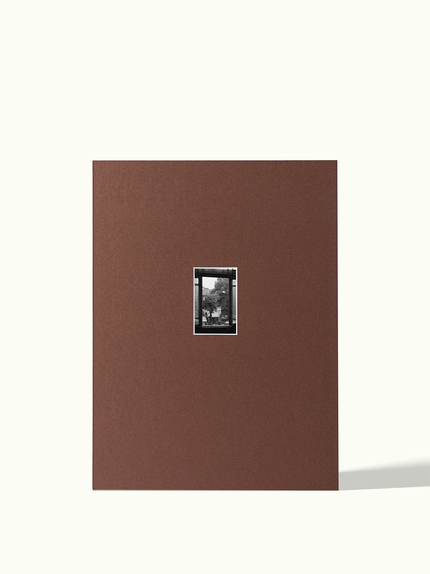 Polaroid mini - passe-partout