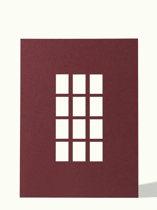 12x Polaroid Instax - passe-partout