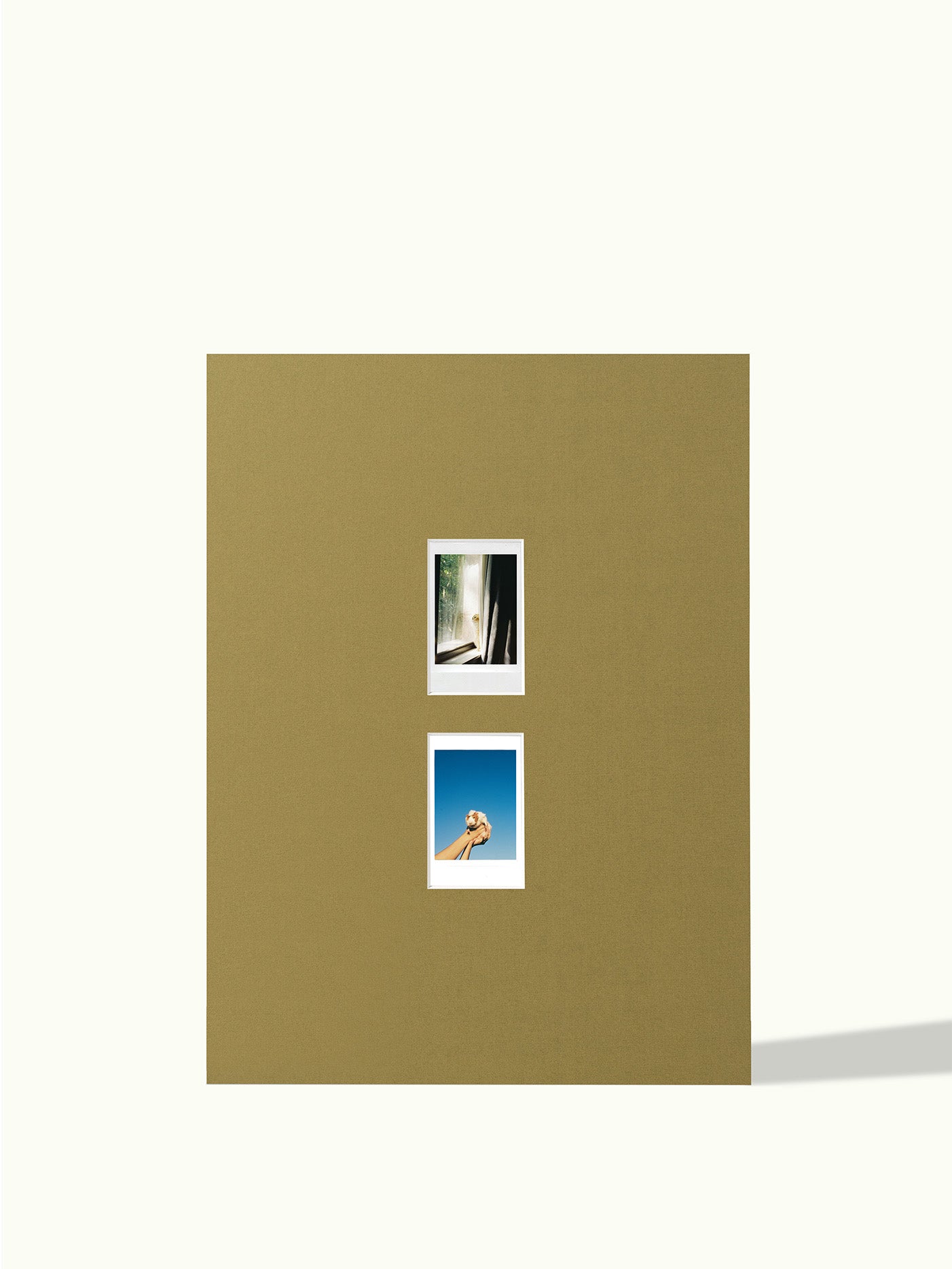 Verticale Polaroid reeks (2,3,4 foto's)