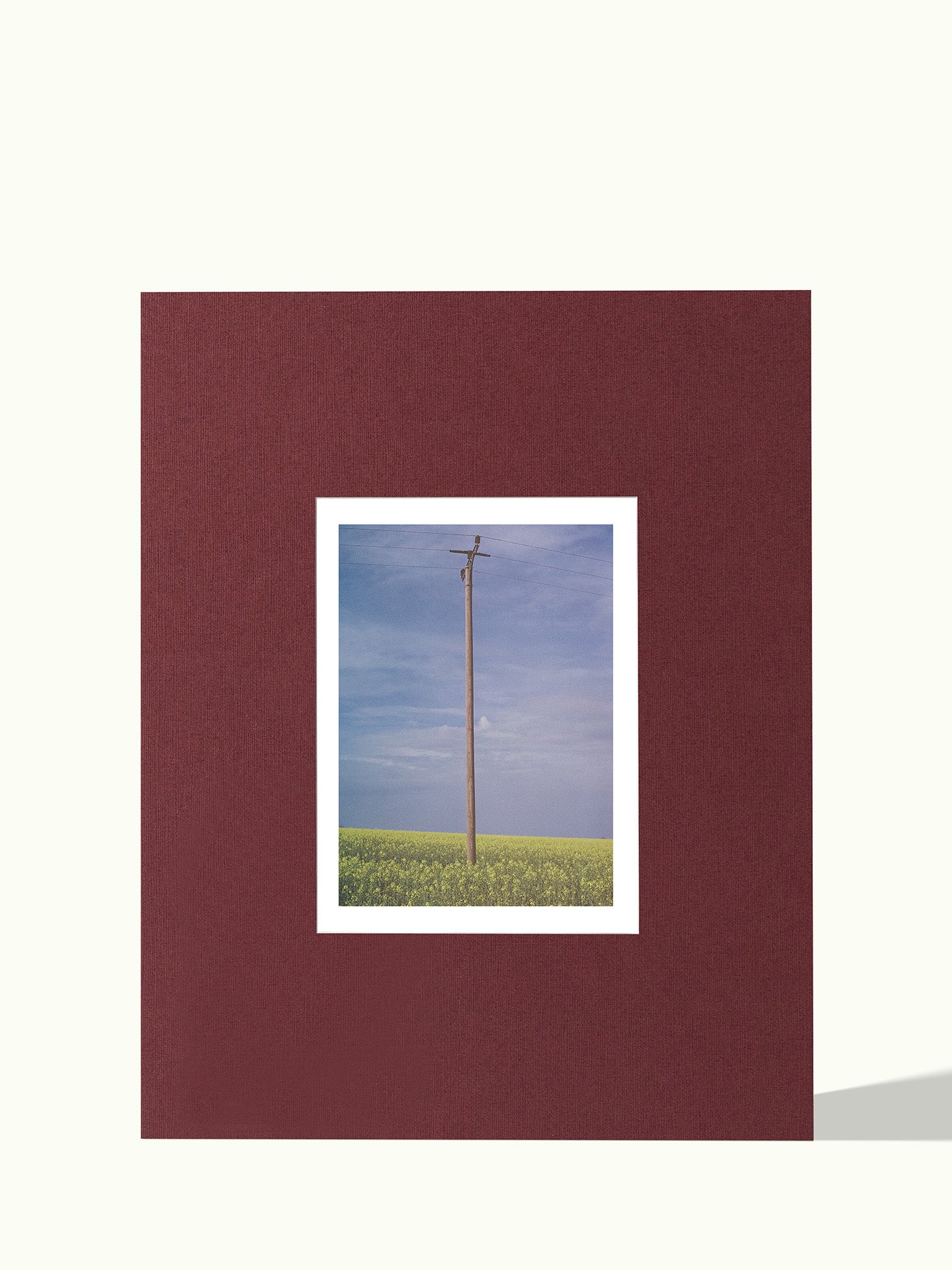 40x50cm passe-partout voor A4/21x29,7cm poster