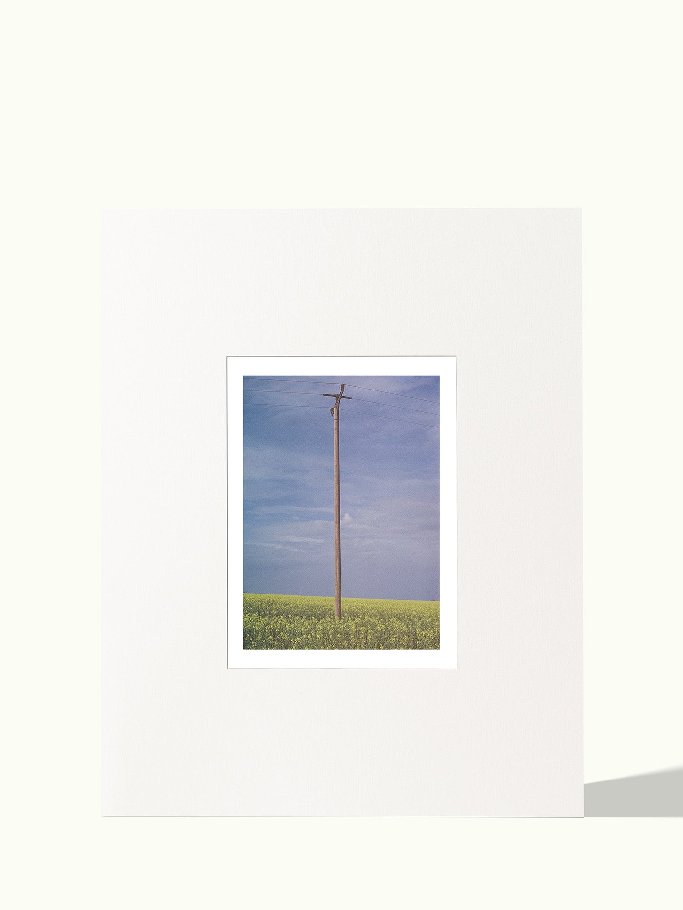 40x50cm passe-partout voor A4/21x29,7cm poster