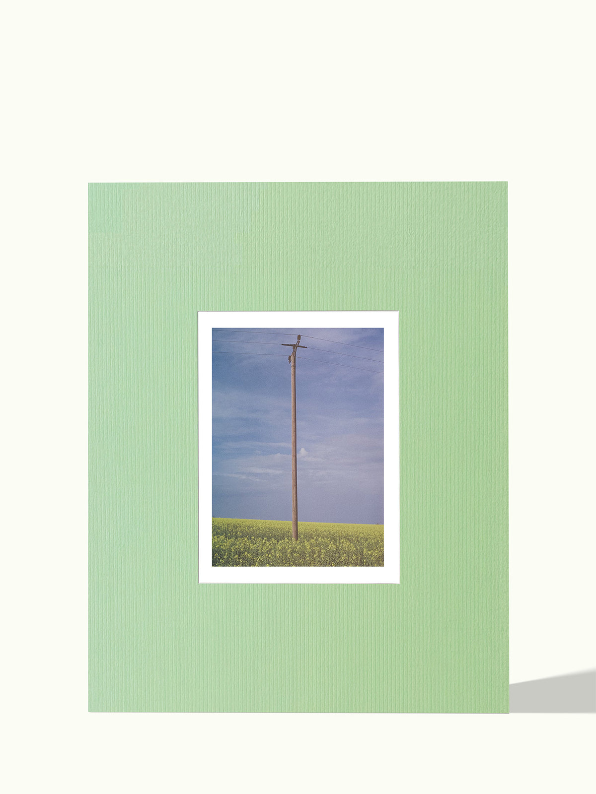 A4 Poster Passepartout, zentriert, 40x50 cm, Farbe Sage Green