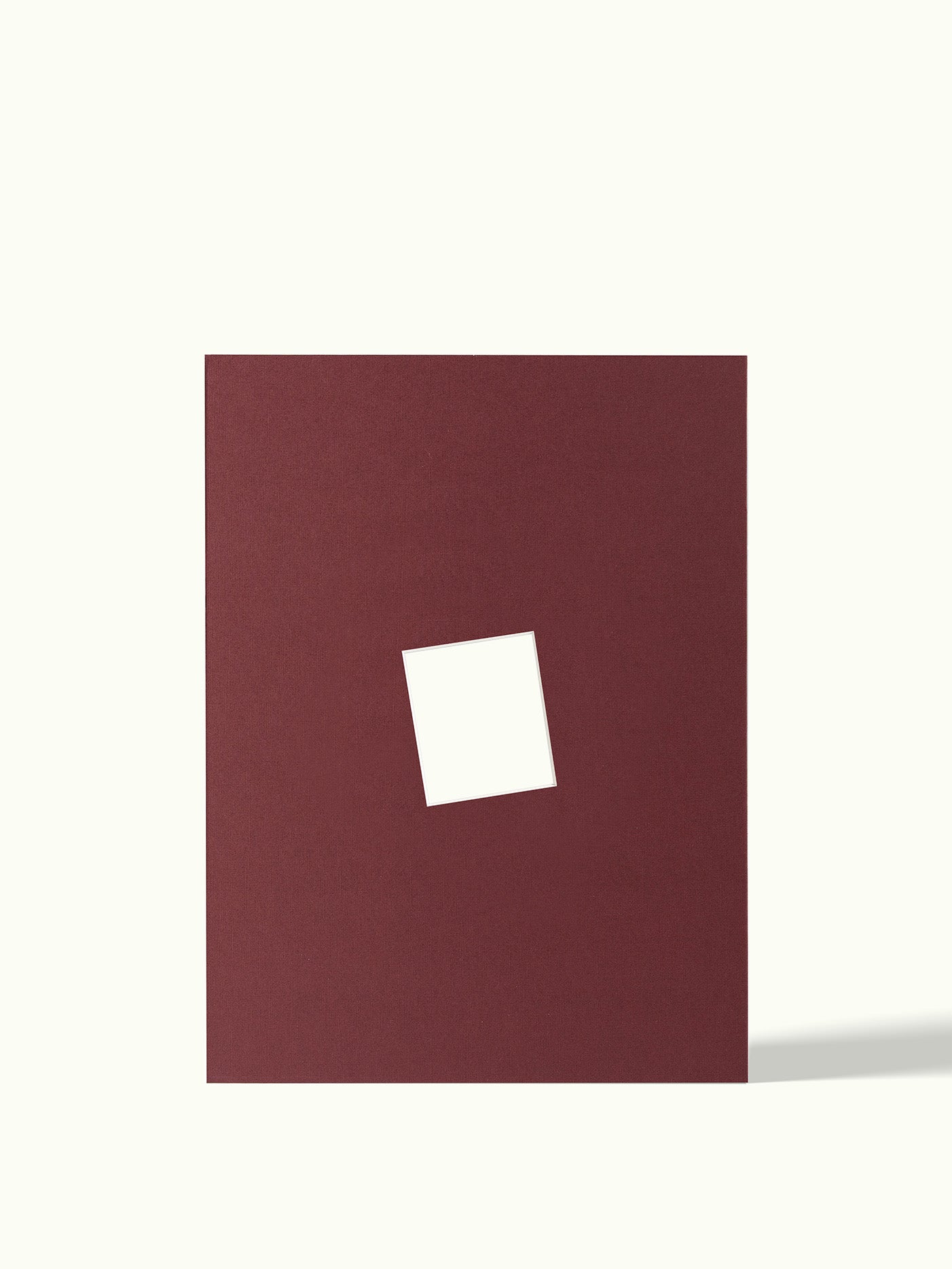 Schuine Polaroid Square - passe-partout