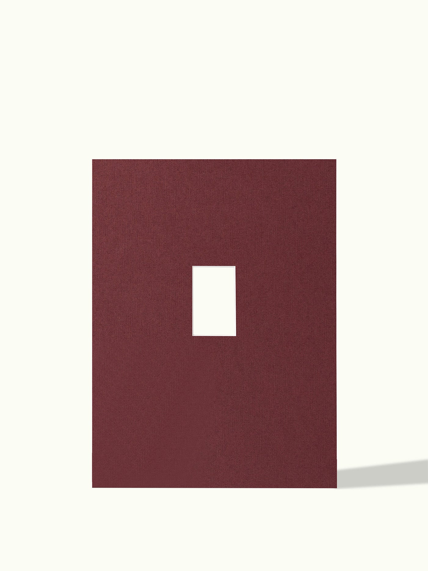 Polaroid mini - passe-partout