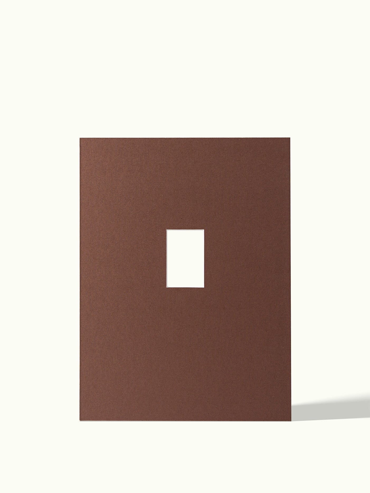 Polaroid mini - passe-partout