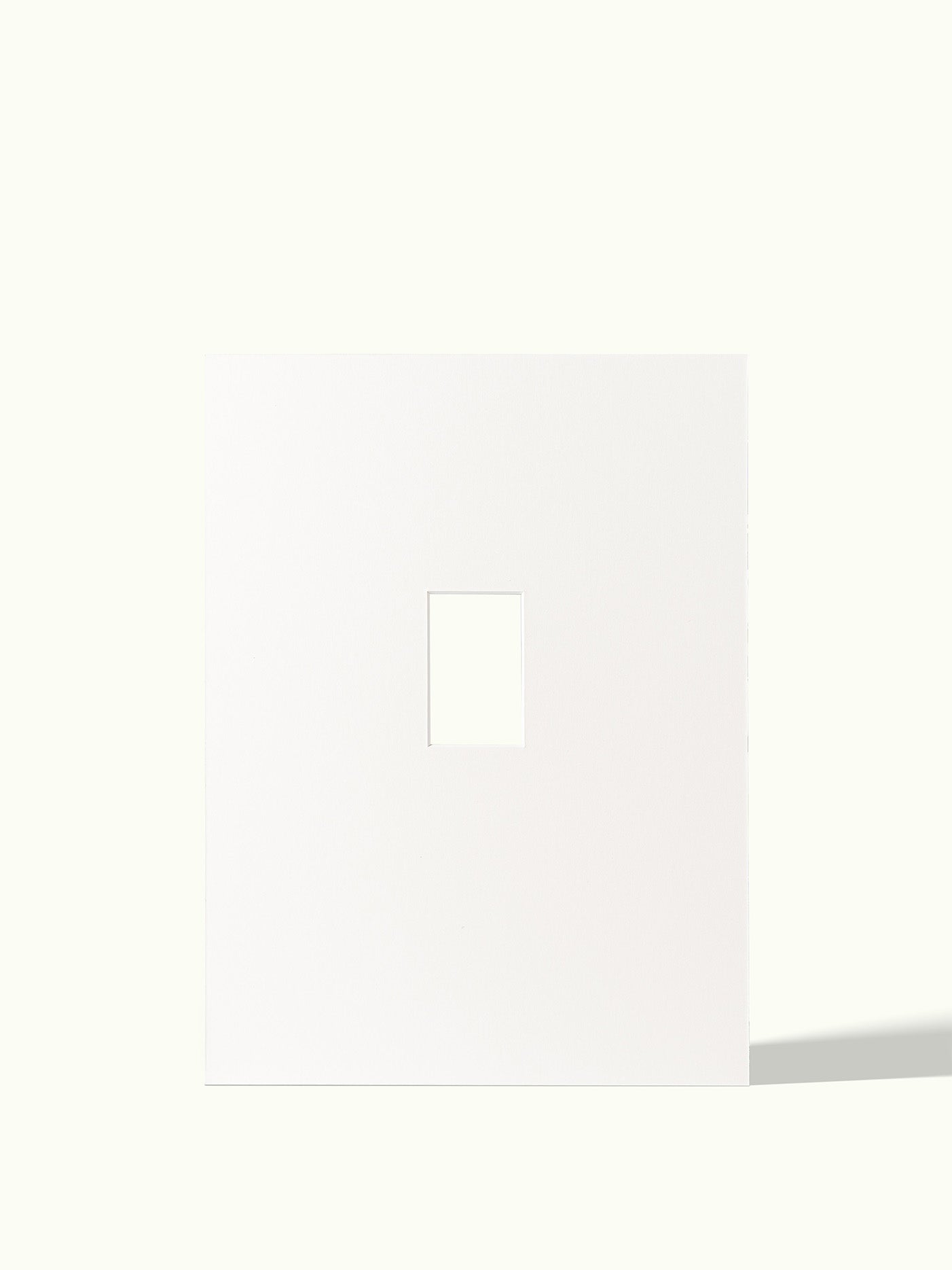 Polaroid mini - passe-partout