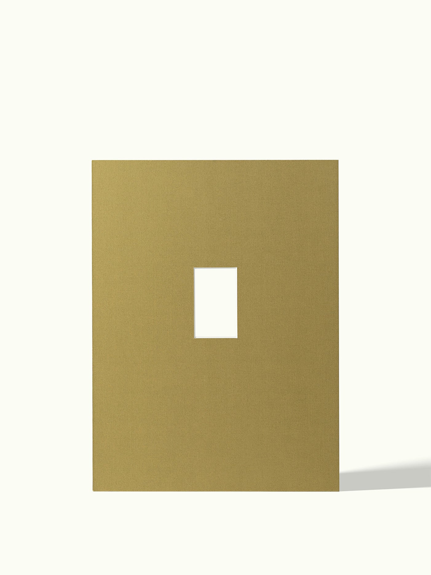 Polaroid mini - passe-partout