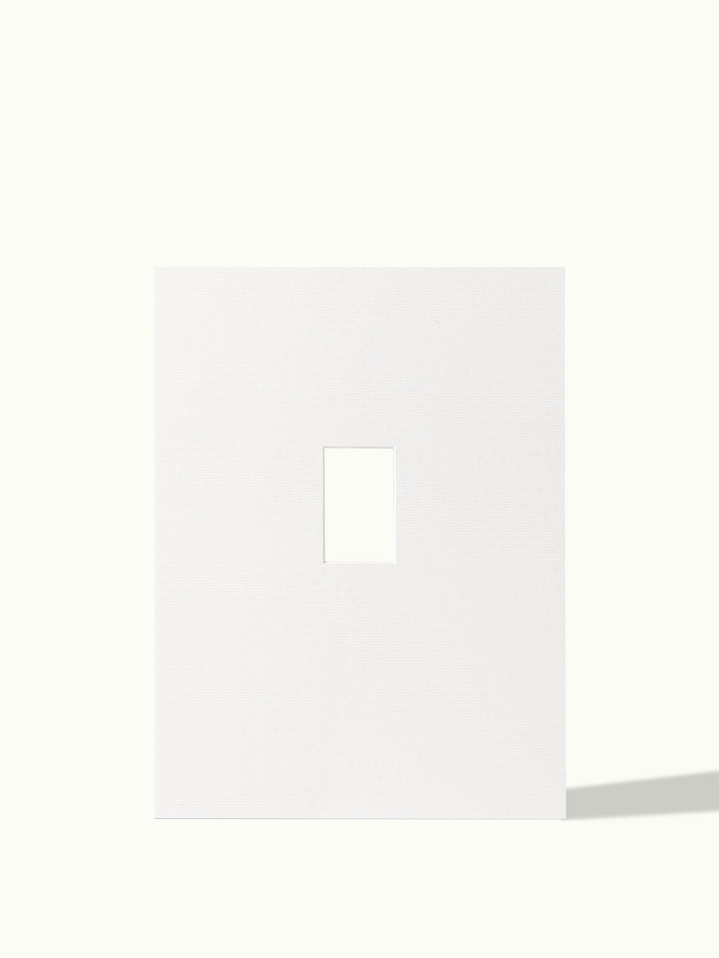 Polaroid mini - passe-partout