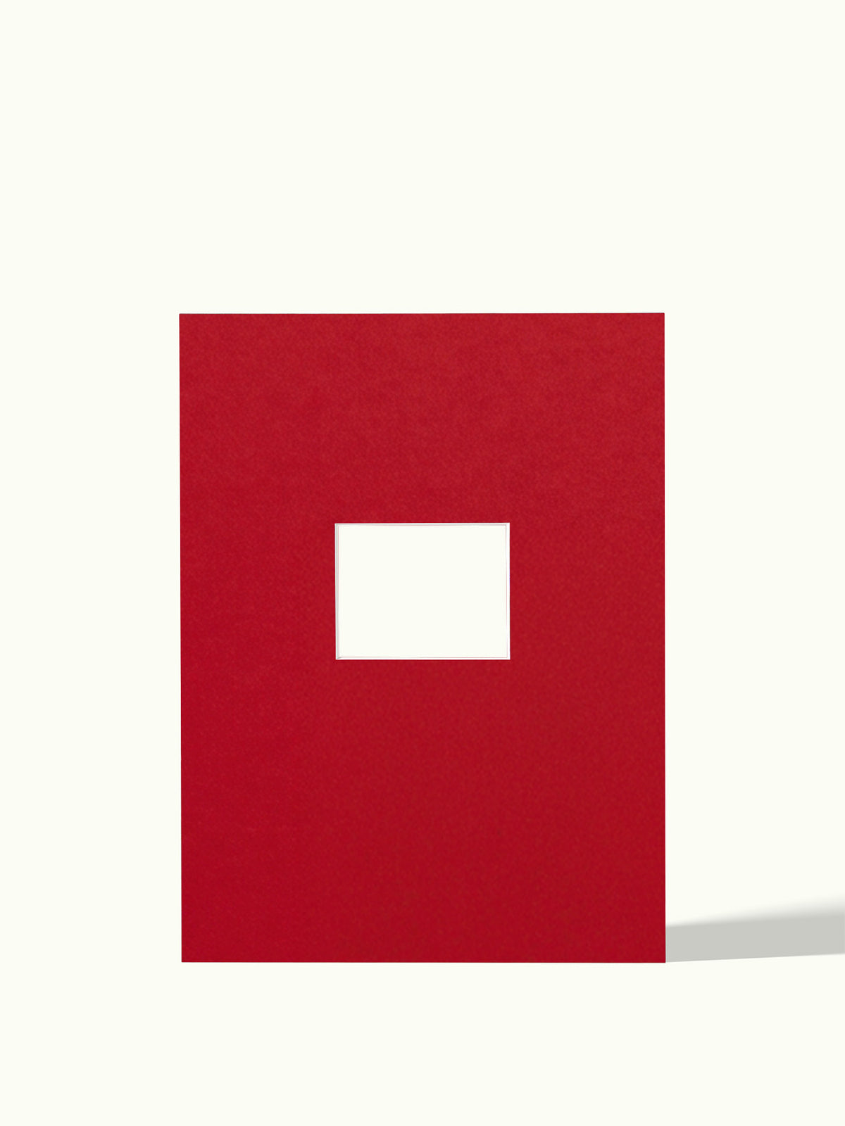 Polaroid Instax wide - passe-partout
