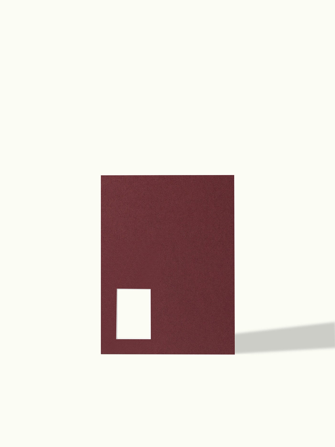 21x30 cm polaroid mini - passe-partout