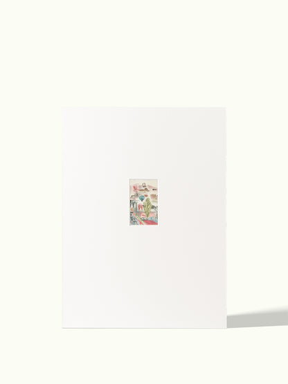 Polaroid mini - passe-partout